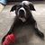 Jennifer Brucker's profile image