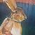 Thomas K. Bouphoulous's profile image
