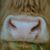 Lela Kavanagh's profile image