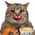Brigid Lopez's profile image