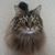 Lori Herman's profile image