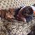 Sharon Markins's profile image