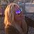 Beth Russell-Stark's profile image