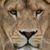 Andy Deitrick's profile image