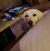 Peggy Tinsley's profile image
