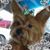 Joni Newland's profile image