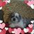 Beth Bailey's profile image