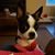 Debra K Hamlin's profile image