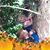 Debra Staten's profile image