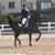 Mj Hoepner's profile image