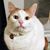 Miranda Desiree Grenier-O'Leary's profile image