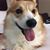 Lynda Patrick's profile image