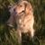 Linda Mae McDade's profile image