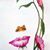 Mariana Vinueza's profile image