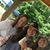 Kristi Kenyon-Maggard's profile image