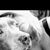 Marleen Mettler's profile image