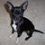 Olivia Kelly Cooper's profile image