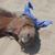 Joslyn Seefeldt's profile image