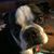 Steve Linn's profile image