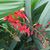 Glenda Battershell's profile image