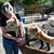 Carol Hillman's profile image