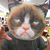 Douglas Williams's profile image