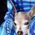 Janice Graham Leeds's profile image