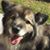 Sue Belser-Smith's profile image