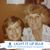 Mary Ann Ramer's profile image