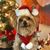 Kelly Castellano's profile image