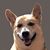 John Annen's profile image