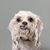Christine Holz's profile image