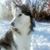 Mark Gilmore's profile image