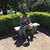 Latoya Hamilton Wilkins's profile image