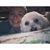 Maggie Gellinger's profile image
