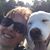 Laurie Ethridge Pierdon's profile image