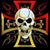 Tom Engels's profile image