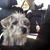 Sue Loomis's profile image