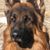 Colleen Carfagno Yashura's profile image