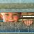 John Mark Taylor's profile image