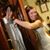 Tarrah Rose's profile image