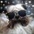Bea Kennedy's profile image