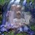Maureen Riley Geisinger's profile image