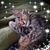 Ken Davenport's profile image