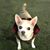Judi Rubin's profile image