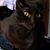 Nancy Wasko Rooks's profile image