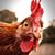 Jon Maydole's profile image