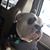 Susan Jackson's profile image