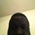 Timothy Timbo Barker's profile image
