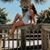 Deanna McFarland's profile image